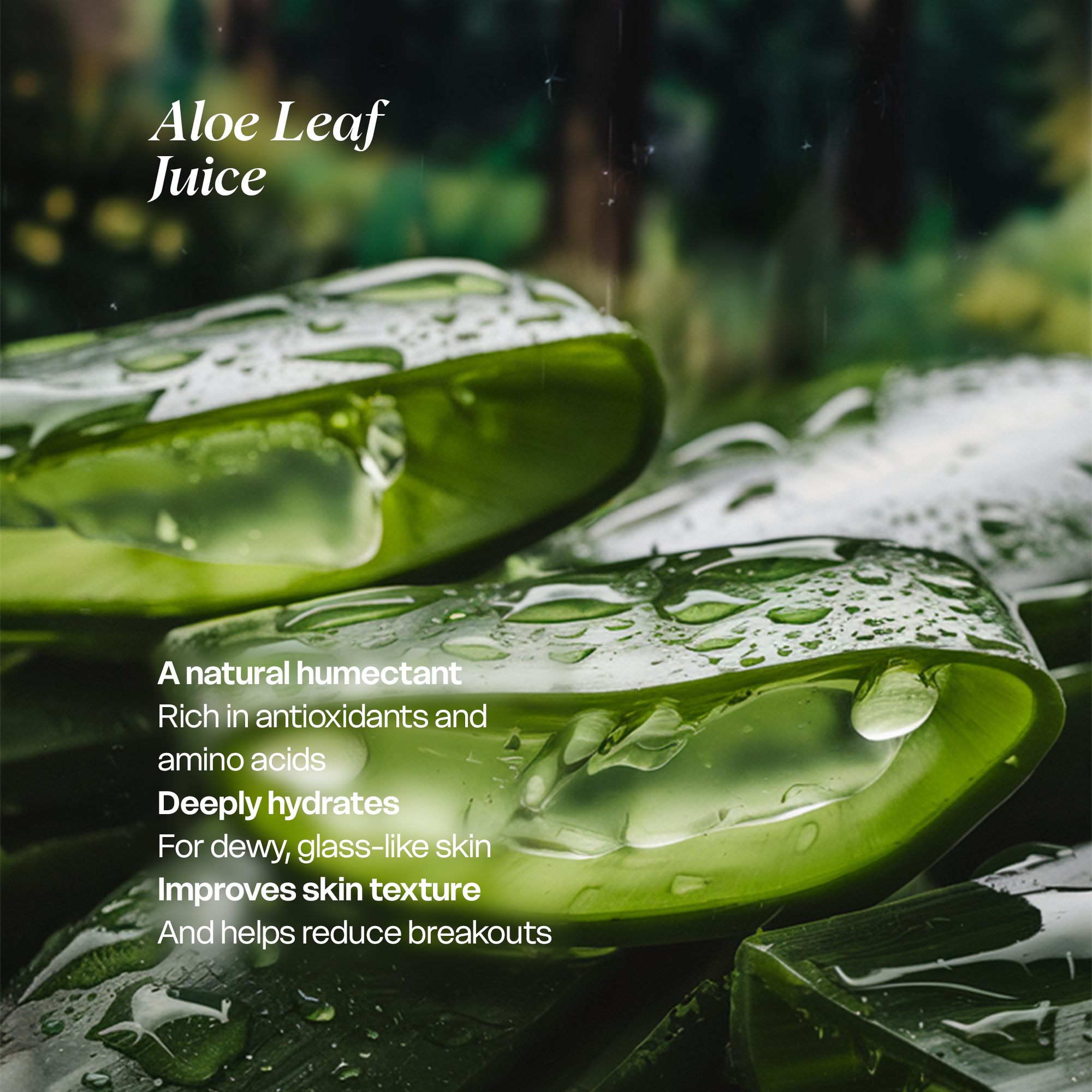 Clean & Hydrate Face Duo