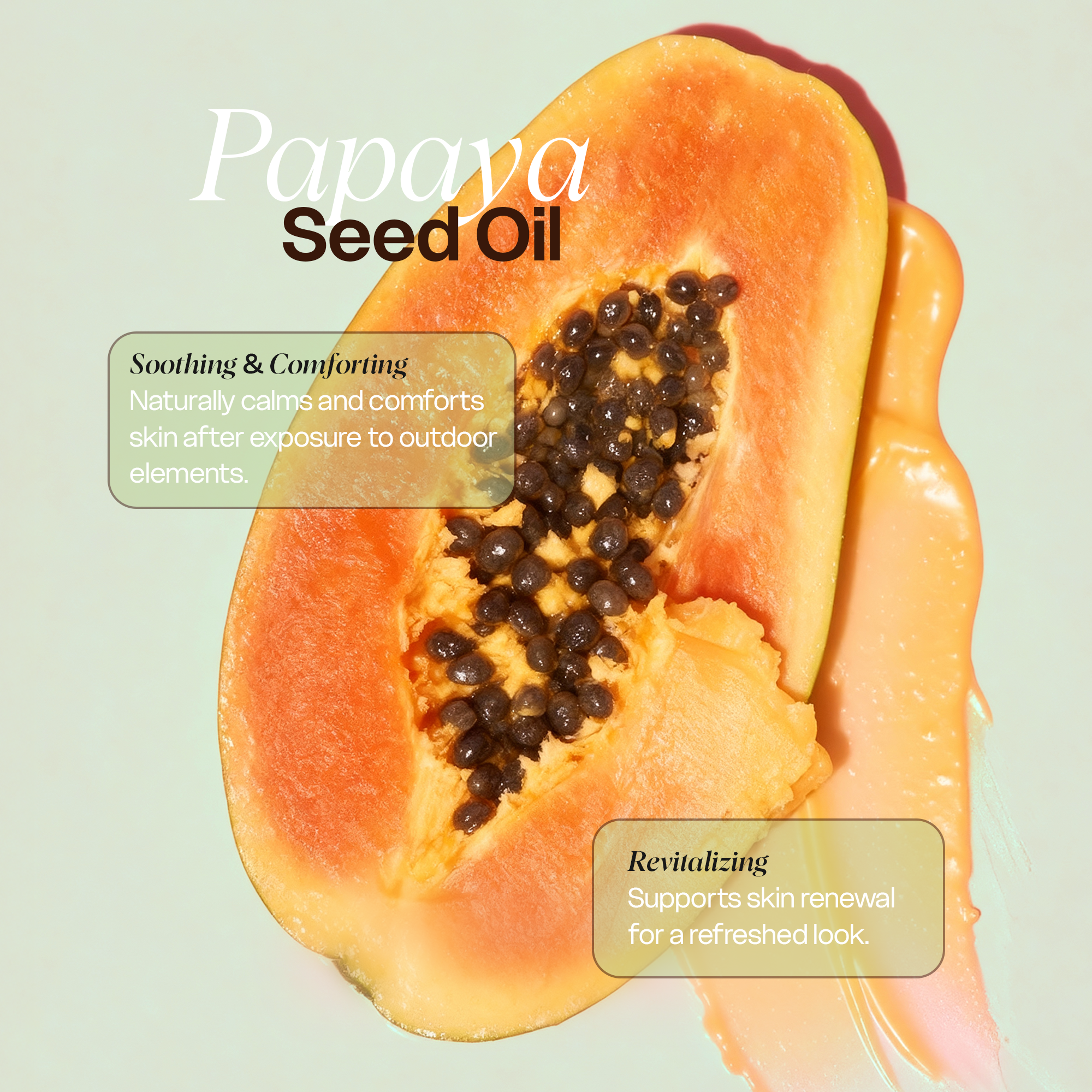 Tallow Zinc Sun Stick